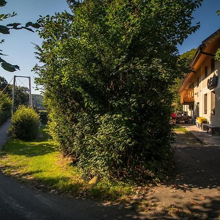 Penzion Krizky Malá Skála Exteriör bild
